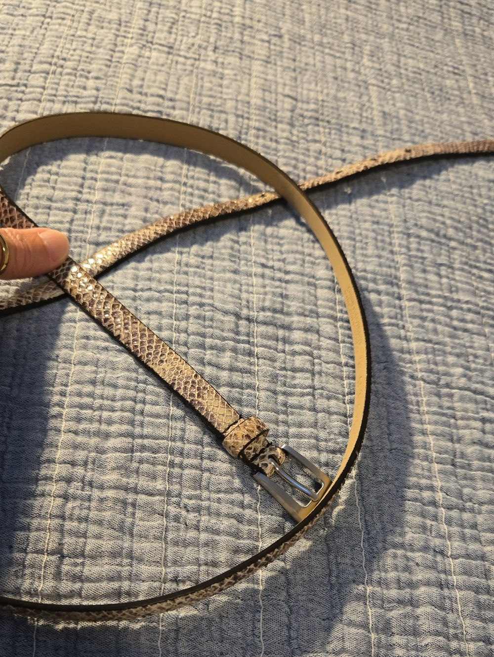 Talbots Slim Leather Belt in Snakeskin With Silver Buckle